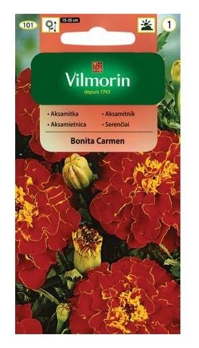 Aksamitka rozpierzchła pełna Bonito Carmen 1g Vilmorin