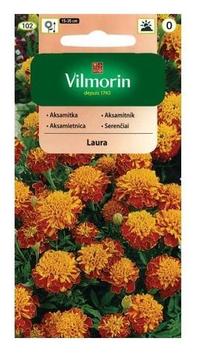 Aksamitka rozpierzchła pełna Laura 1g Vilmorin