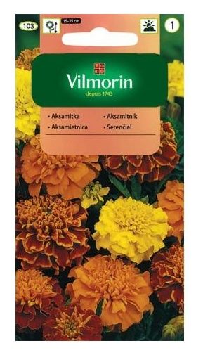 Aksamitka rozpierzchła pełna Mix 1g Vilmorin
