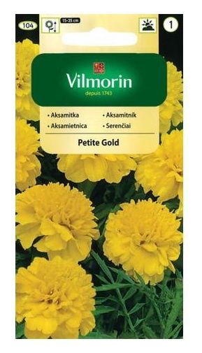 Aksamitka rozpierzchła pełna Petite gold 1g Vilmorin