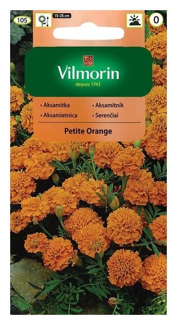 Aksamitka rozpierzchła pełna Petite orange 1g Vilmorin