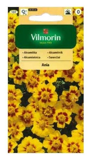 Aksamitka rozpierzchła pojedyńcza Ania 1g Vilmorin