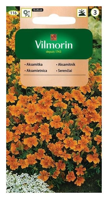 Aksamitka wąskolistna pomarańczowa 0,5g Vilmorin