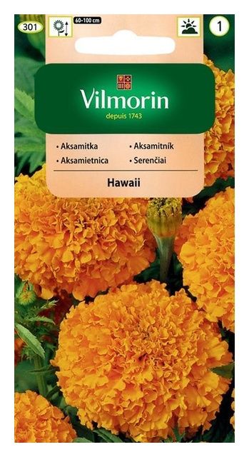 Aksamitka wzniesiona Hawaii 1g Vilmorin