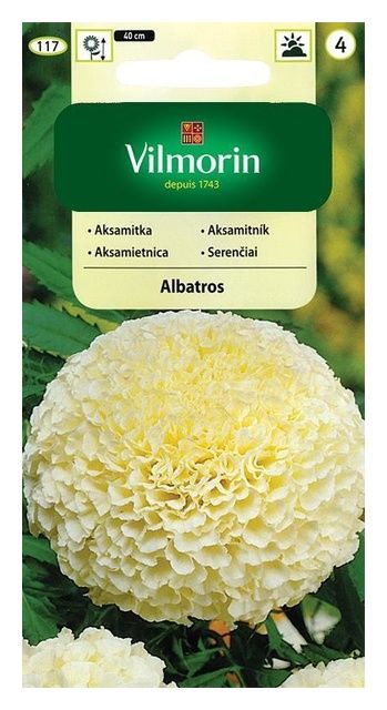 Aksamitka wzniesiona niska pełna Albatros 0,2g Vilmorin
