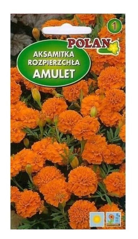 Aksamitka Amulet Polan