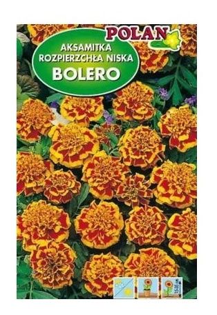 Aksamitka Bolero 1g Polan