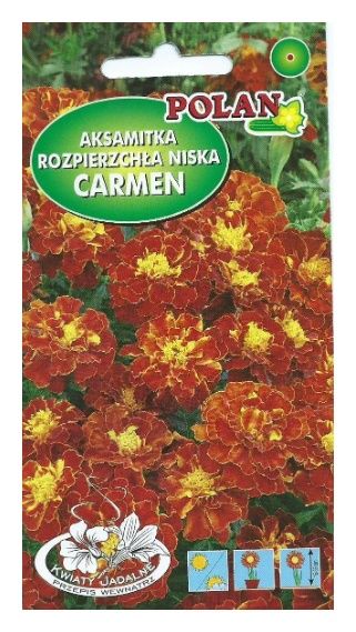 Aksamitka niska Carmen 1g Polan