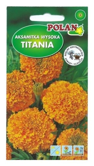 Aksamitka wysoka Titania 2g Polan 