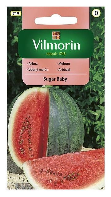 Arbuz Sugar Baby 1g Vilmorin