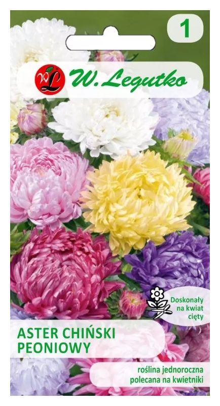 Aster chiński peoniowy mix 1,25g Legutko