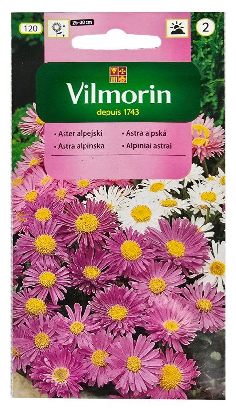 Aster alpejski mix 0,5g Vilmorin