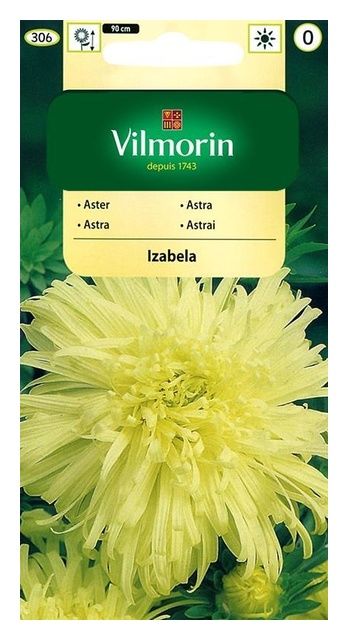 Aster chiński chryzantemowy Izabela 0,5g Vilmorin