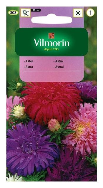 Aster chiński chryzantemowy mix + 50% GRATIS Vilmorin