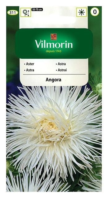 Aster chiński igiełkowy Angora 0,5g Vilmorin