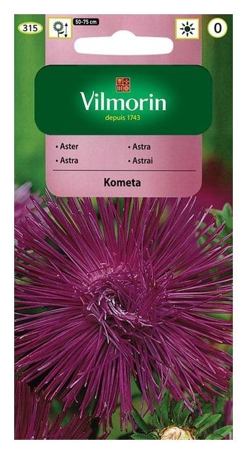 Aster chiński igiełkowy Kometa 0,5g Vilmorin