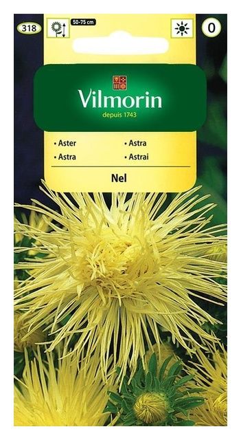 Aster chiński igiełkowy Nel 0,5g Vilmorin