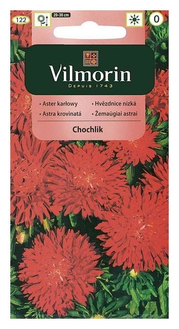Aster chiński karłowy Chochlik 0,5g Vilmorin