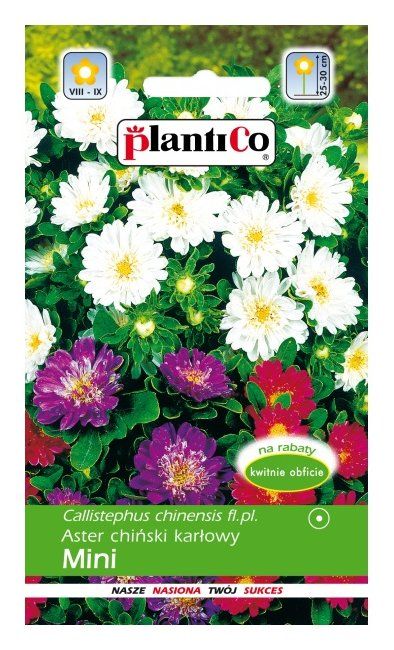 Aster chiński karłowy MINI MIX 1g PlantiCo