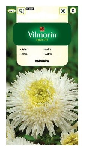 Aster chiński książęcy Balbinka 0,5g Vilmorin