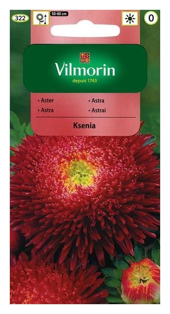 Aster chiński książęcy Ksenia 0,5g Vilmorin