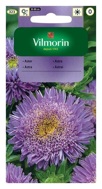 Aster chiński książęcy niebieski  0,5g Vilmorin