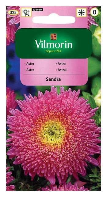 Aster chiński książęcy Sandra 0,5g Vilmorin