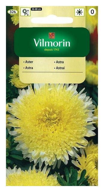 Aster chiński książęcy żółty 0,5g Vilmorin