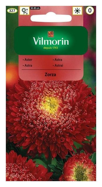 Aster chiński książęcy Zorza 0,5g Vilmorin