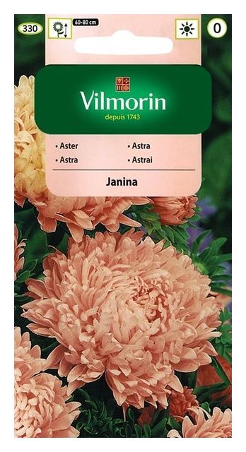 Aster chiński peoniowy Janina 0,5g Vilmorin