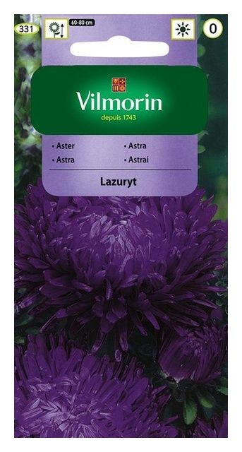 Aster chiński peoniowy Lazuryt 0,5g Vilmorin