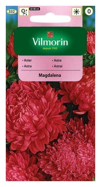 Aster chiński peoniowy Magdalena 0,5g Vilmorin