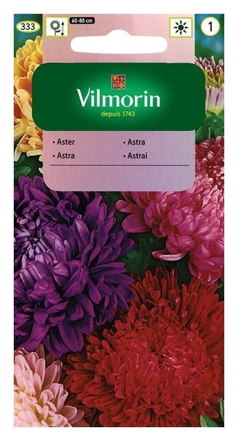 Aster chiński peoniowy mix 1g + 50% GRATIS Vilmorin