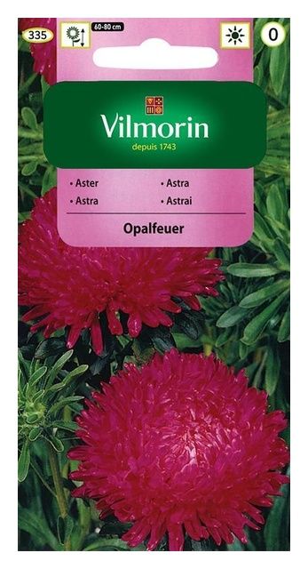 Aster chiński peoniowy Opalfeuer 0,5g Vilmorin