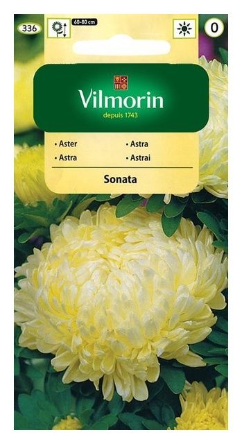Aster chiński peoniowy Sonata 0,5g Vilmorin
