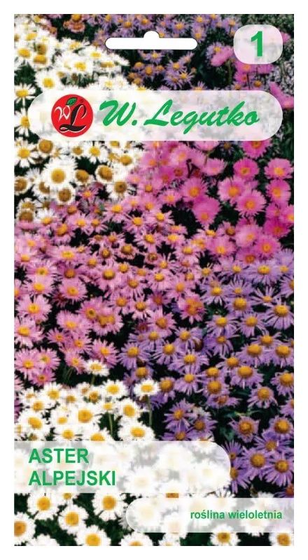 Aster alpejski mix 0,3g Legutko