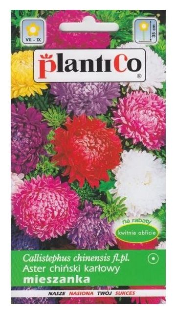 Aster chiński karłowy peoniowy mix 1g PlantiCo