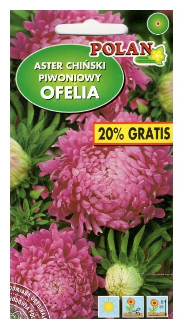 Aster piwoniowy Ofelia 1,2g Polan