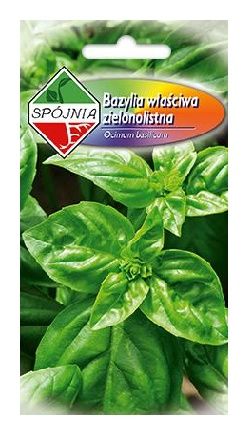 Bazylia właściwa zielonolistna 1g Spójnia