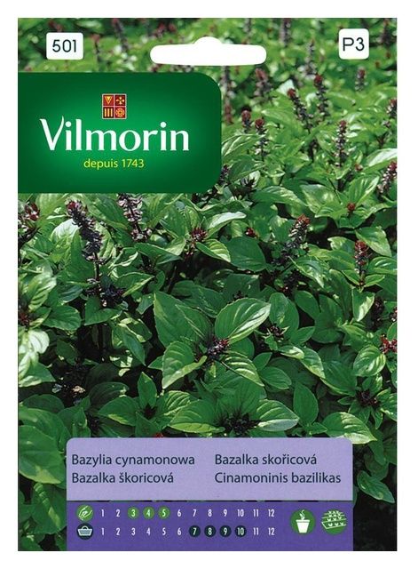 Bazylia Cynamonowa 0,5g Vilmorin