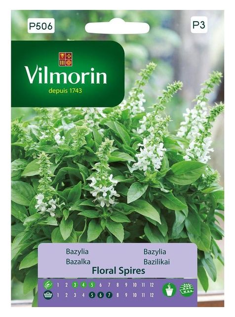 Bazylia Floral Spires 30 szt. Vilmorin