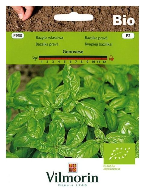 Bazylia Genovese Bio 1g Vilmorin