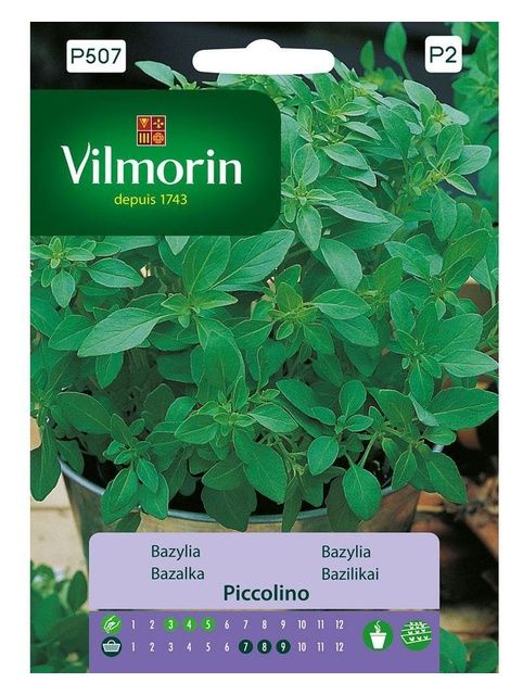 Bazylia Piccolino 1g Vilmorin