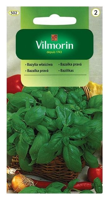 Bazylia Właściwa 1g Vilmorin