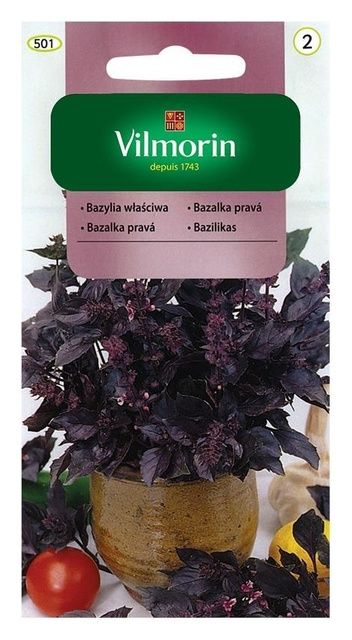 Bazylia właściwa czerwonolistna 0,5g Vilmorin