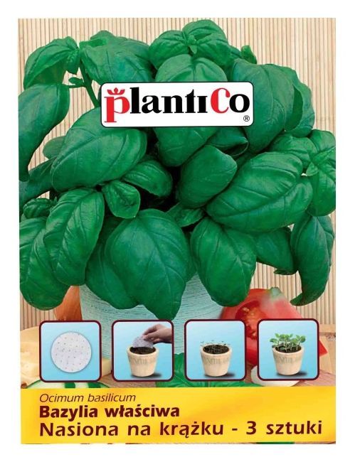 Bazylia właściwa nasiona na krążku 3 sztuki PlantiCo