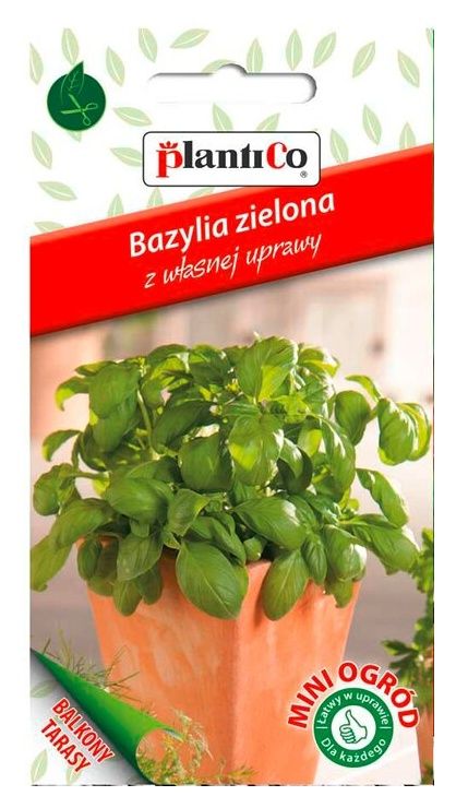 BAZYLIA MINI OGRÓD VILMORIN