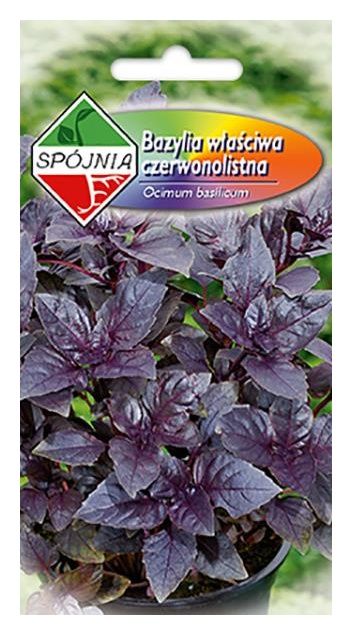 Bazylia czerwonolistna 0,3g Spójnia