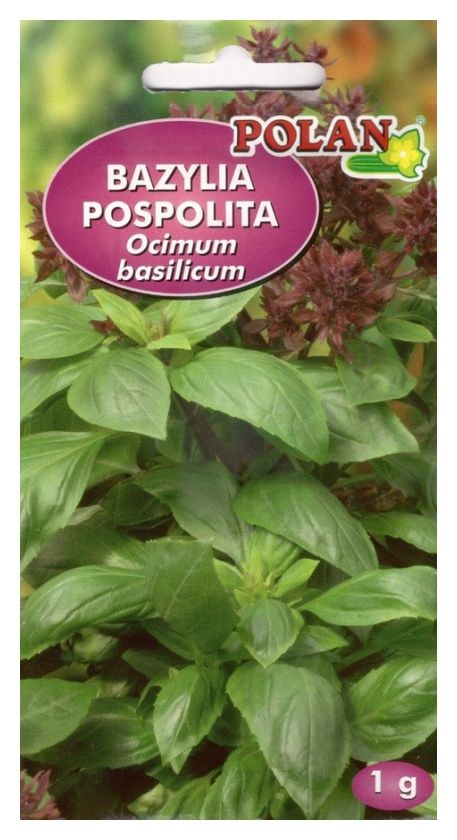 Bazylia pospolita Genovese 1g Polan