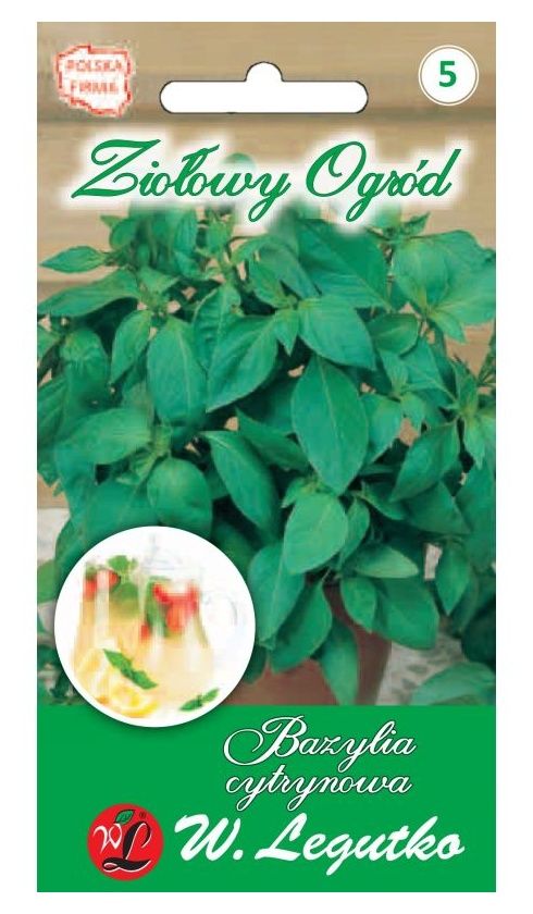 ziołowy ogród bazylia cytrynowa